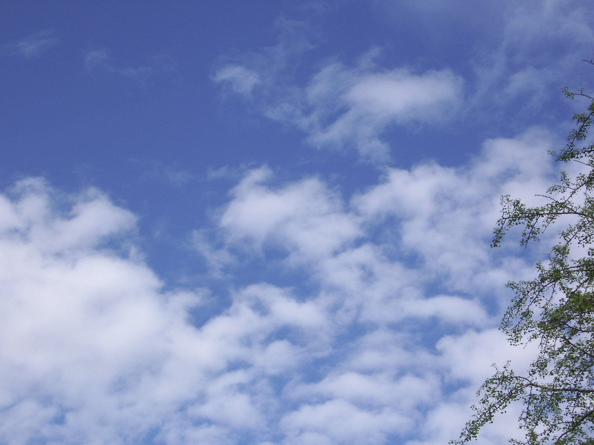 青空