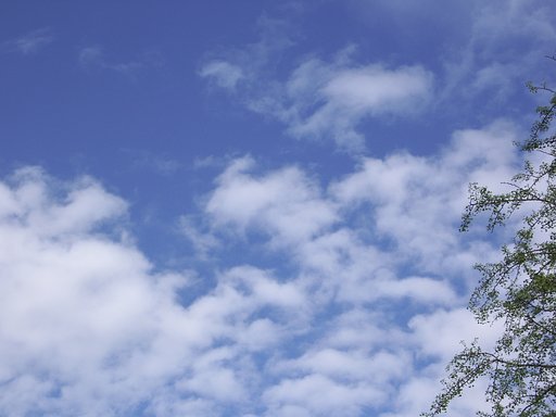 青空