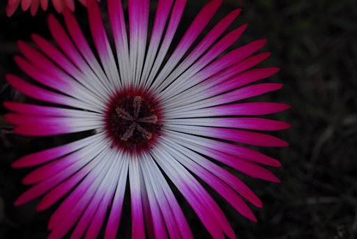 打上げ花火