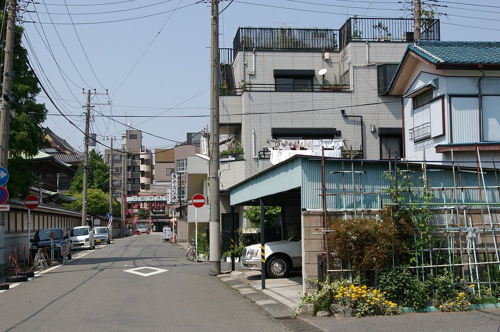 初夏の車庫