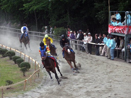 草競馬②