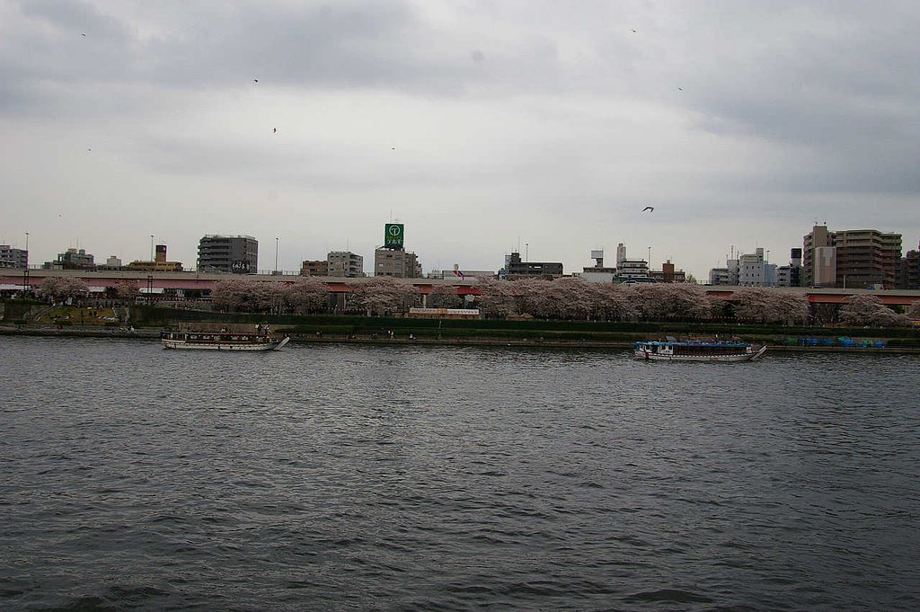 空と川の間には