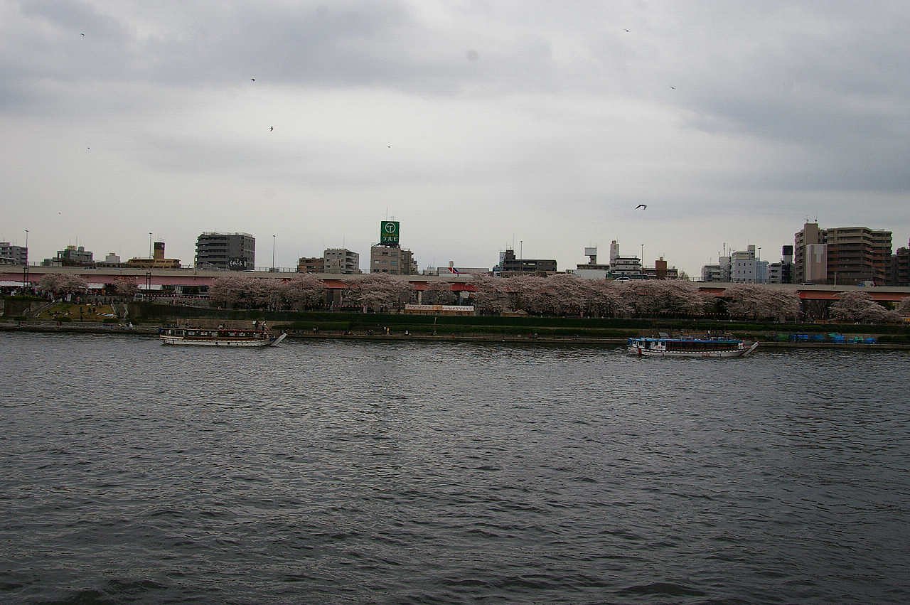 空と川の間には