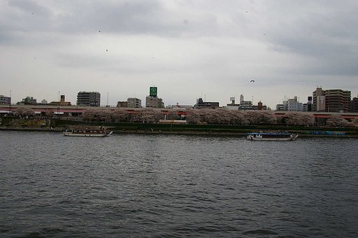 空と川の間には
