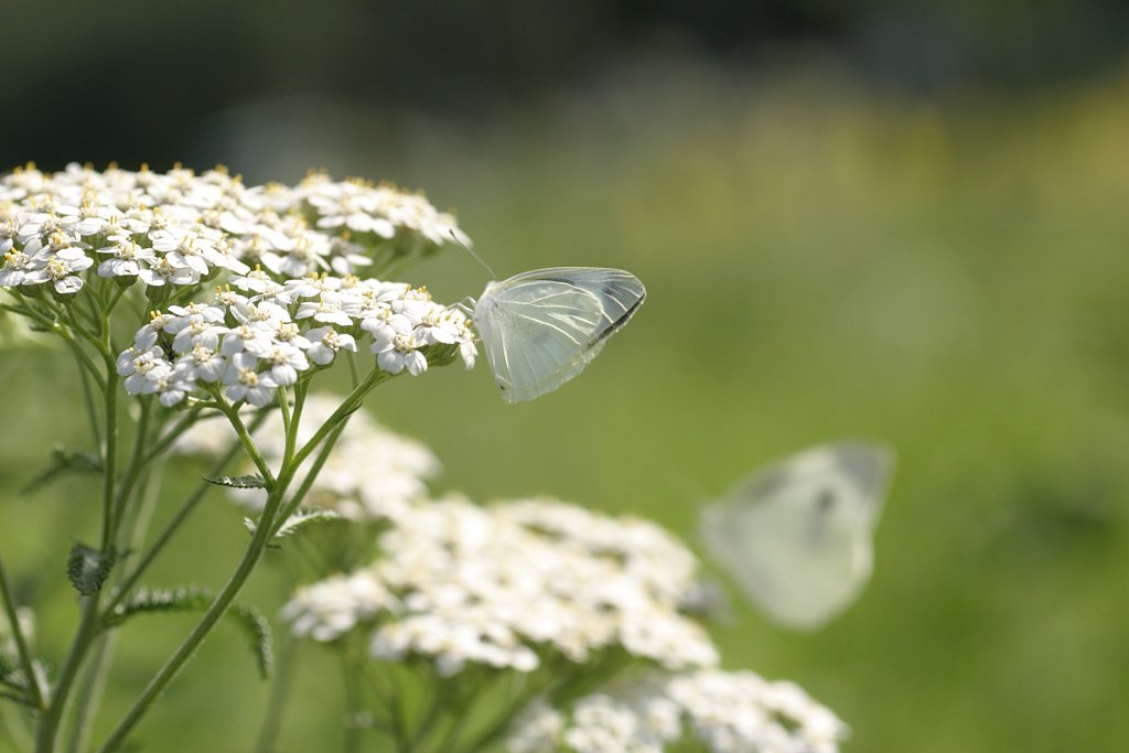 ケンカ中？
