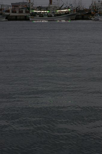 光の波