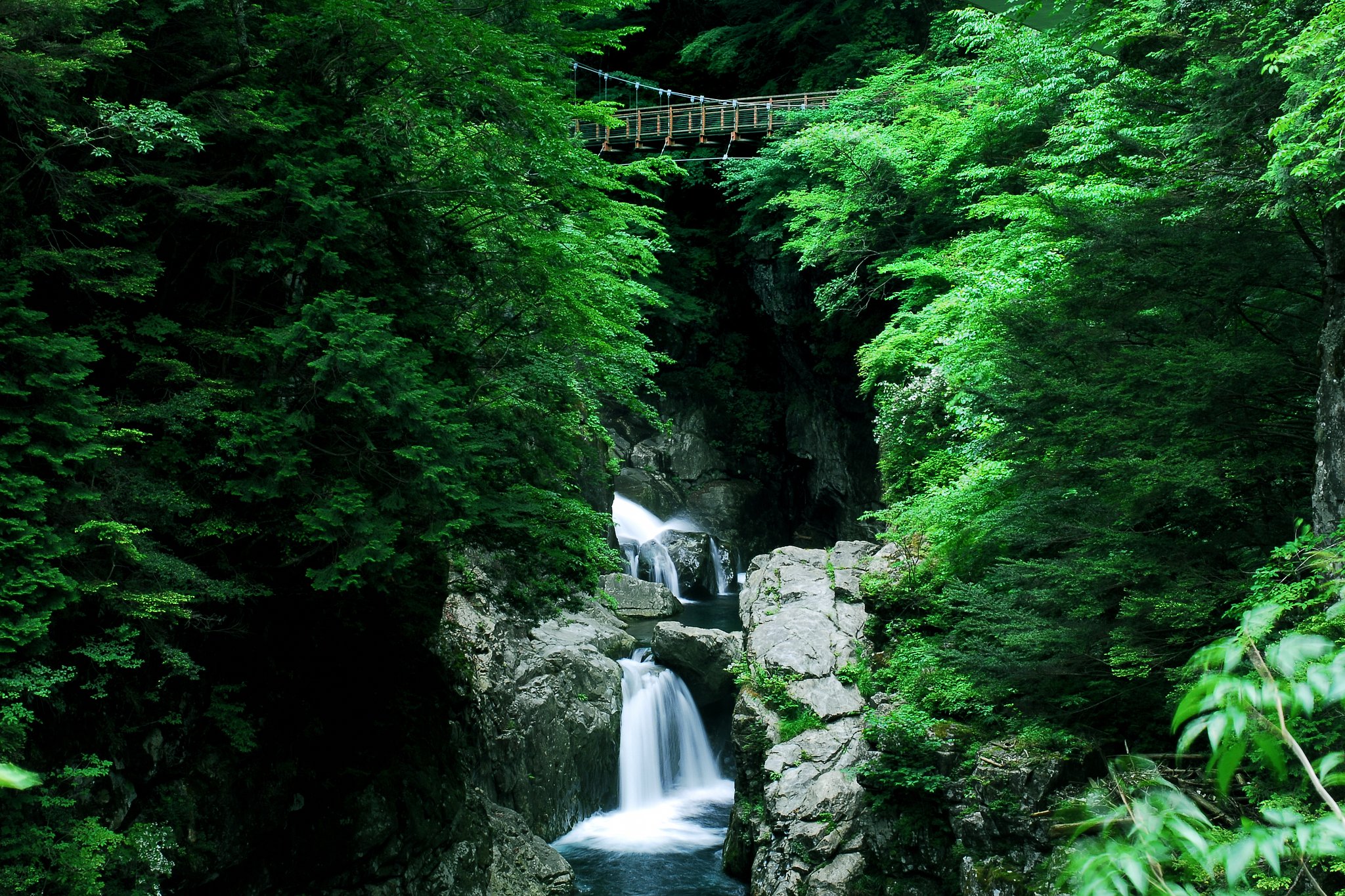 静寂の爽涼