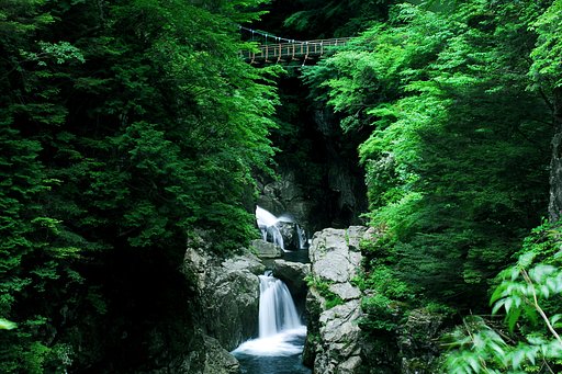 静寂の爽涼