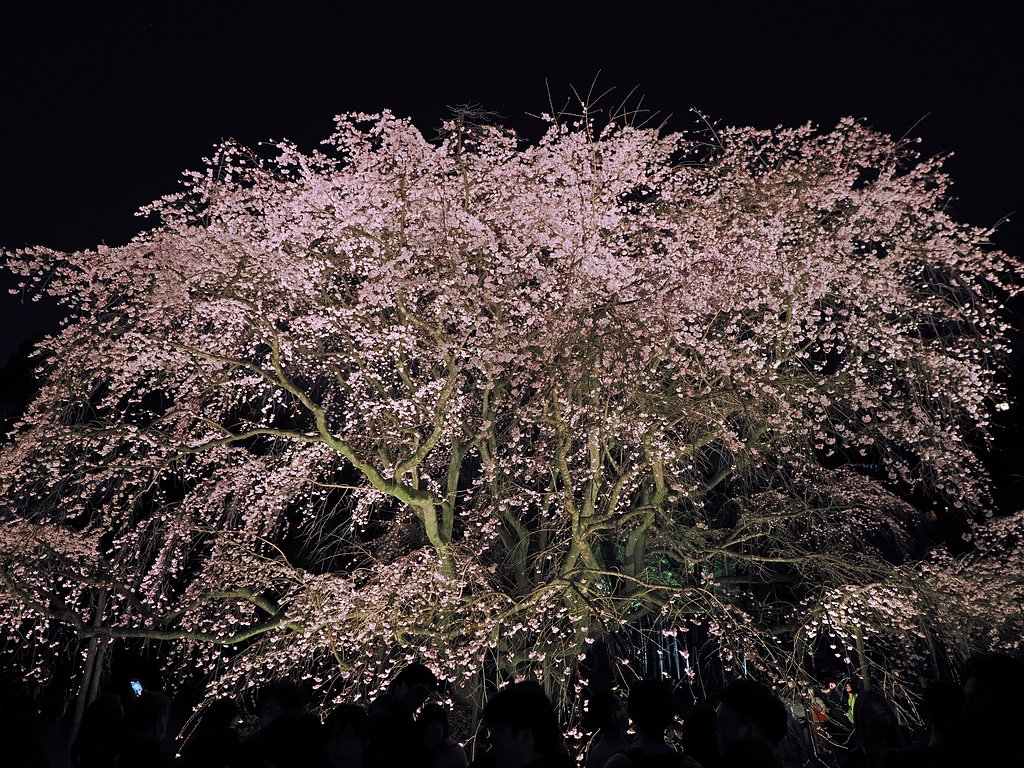花灯り