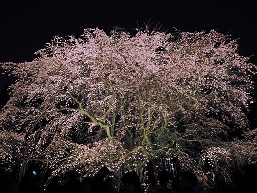 花灯り