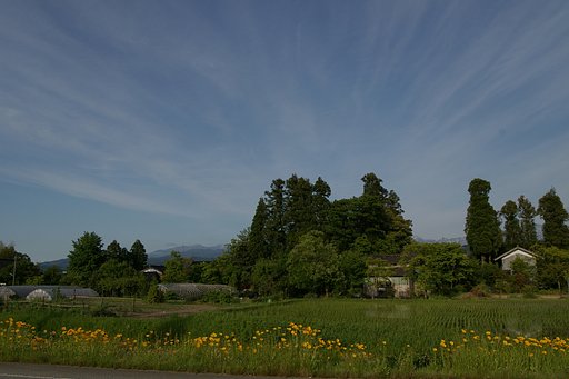 雲に引き立てられて