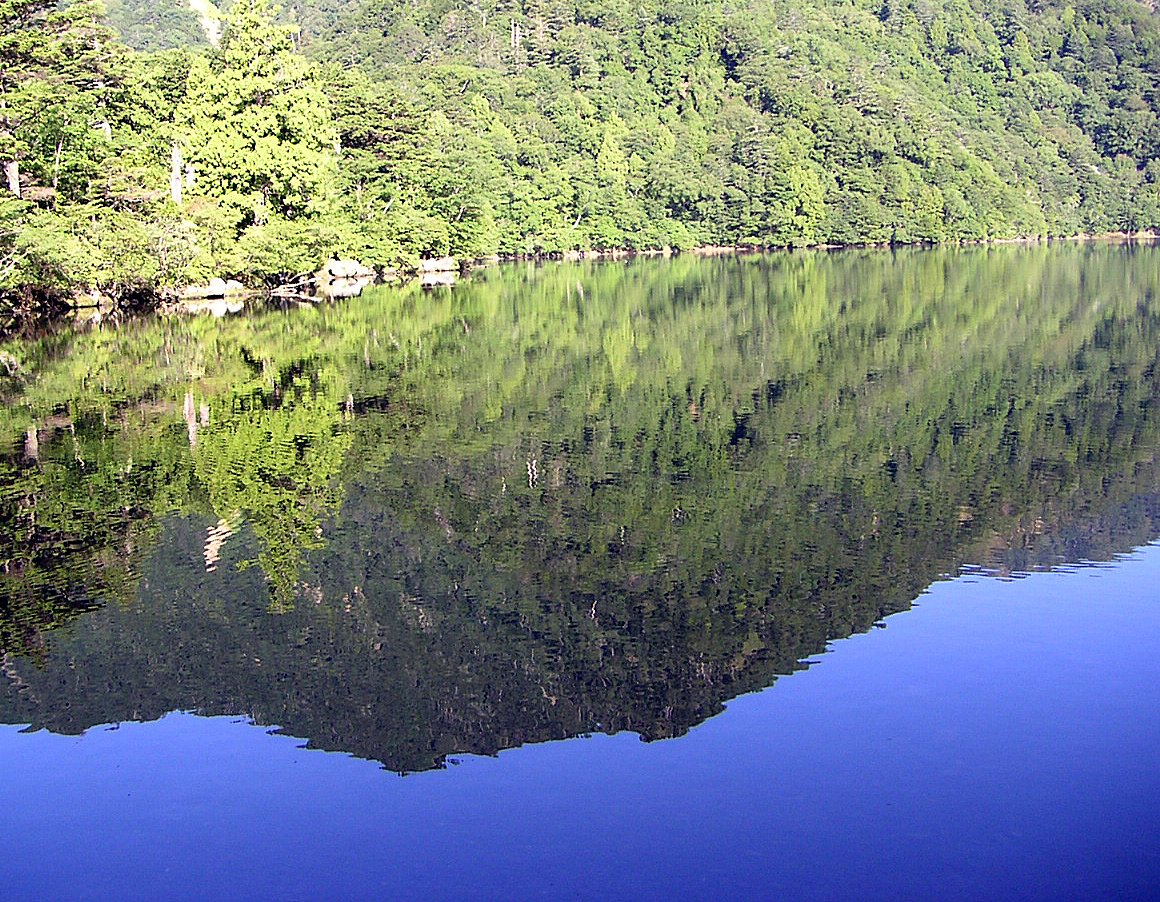 湖畔の朝