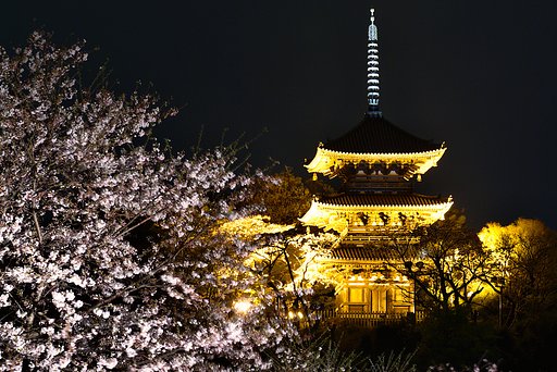 三溪園 観桜の夕べ