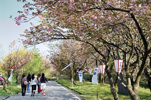 心はウキウキ桜色２（空の色補正）