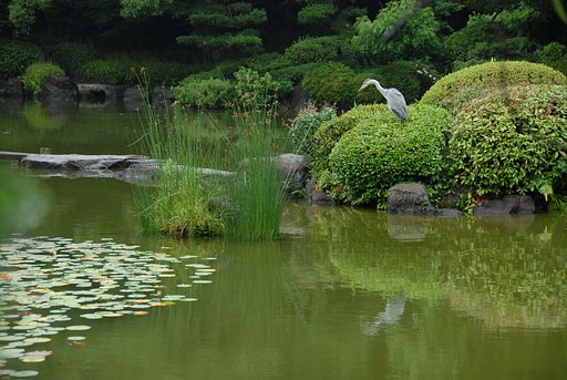 狙いをつけて