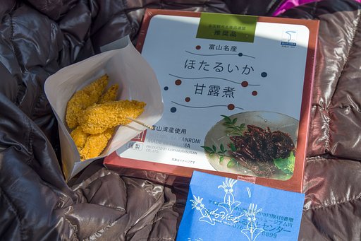 富山のほたるいか