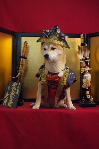 こどもの日特別編