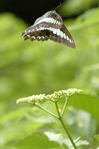 初トライ〜飛翔〜