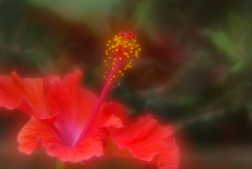 ソフトレンズ〜６