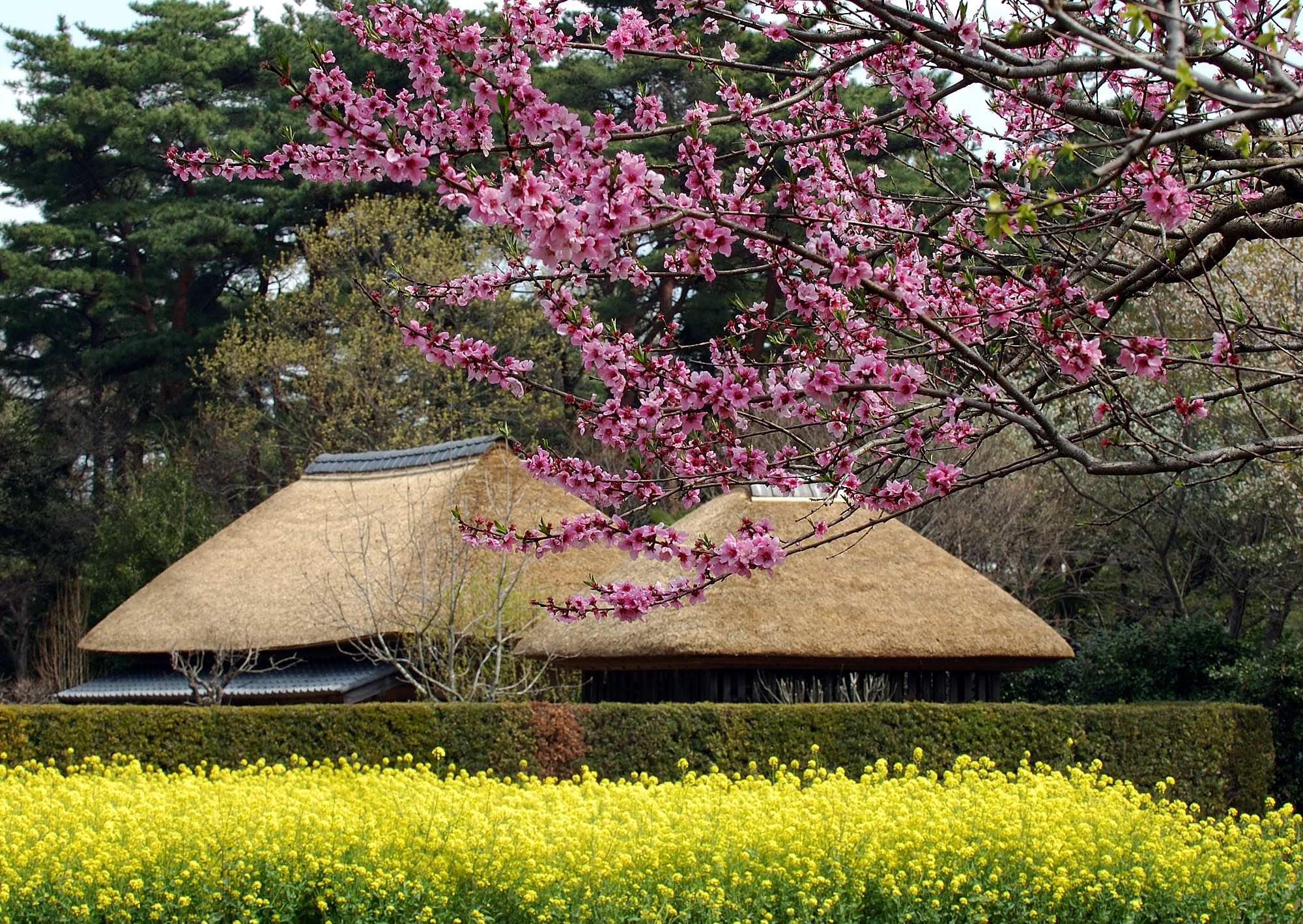 原風景