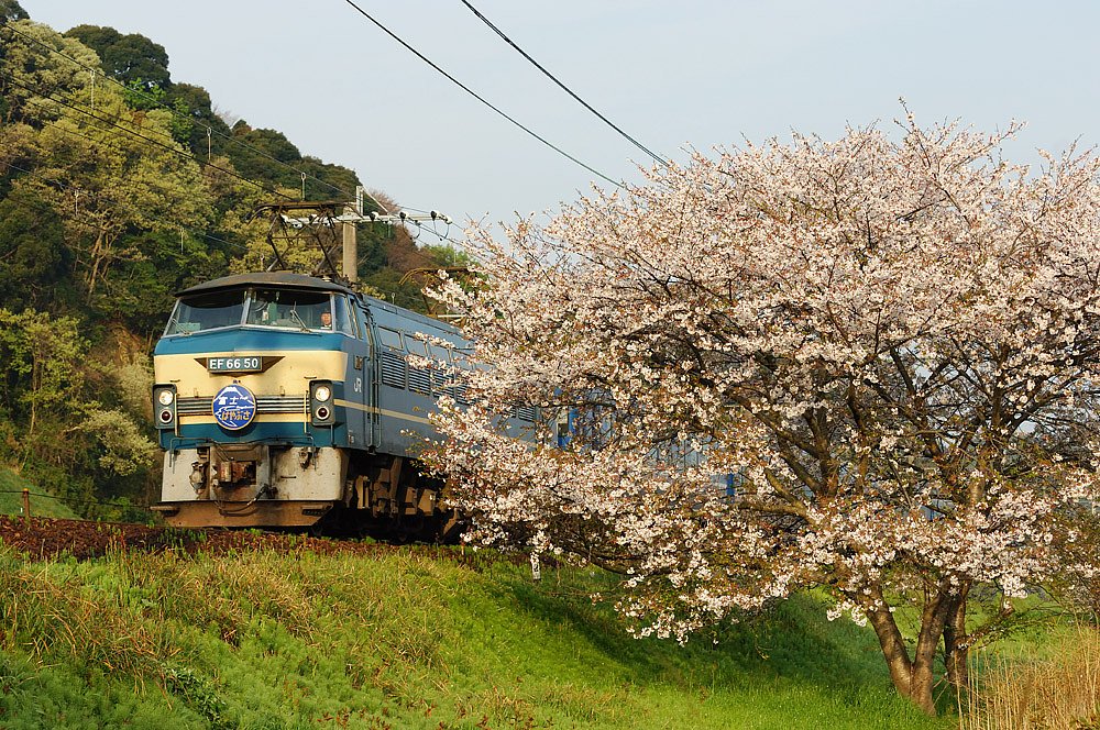 今朝の・・・