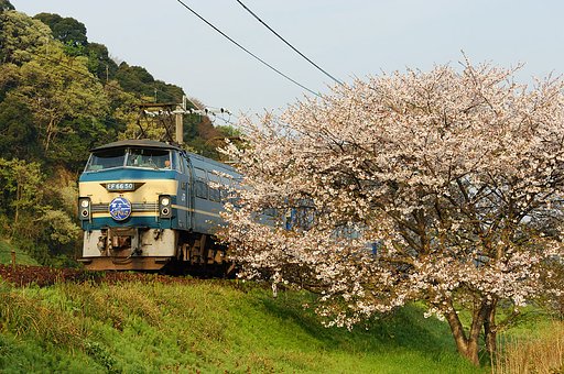 今朝の・・・