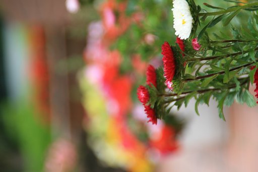 花、花、花
