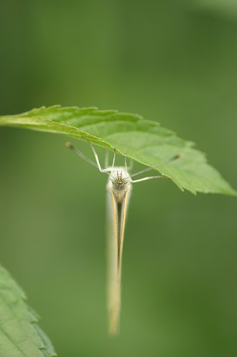 タイムスリップ