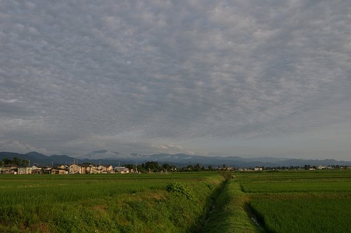 向こうまでダッシュ！