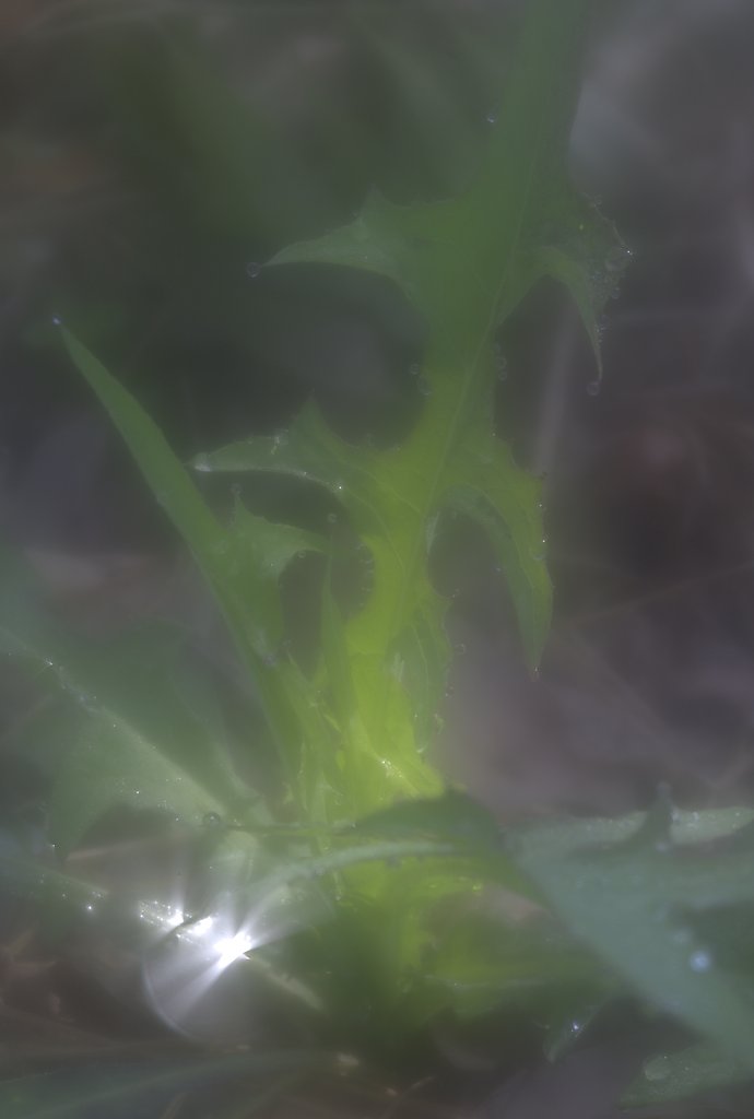 すいぃ〜〜てき