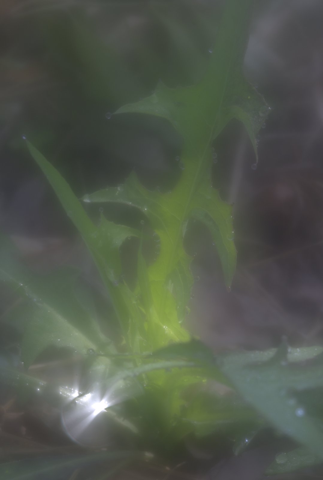 すいぃ〜〜てき