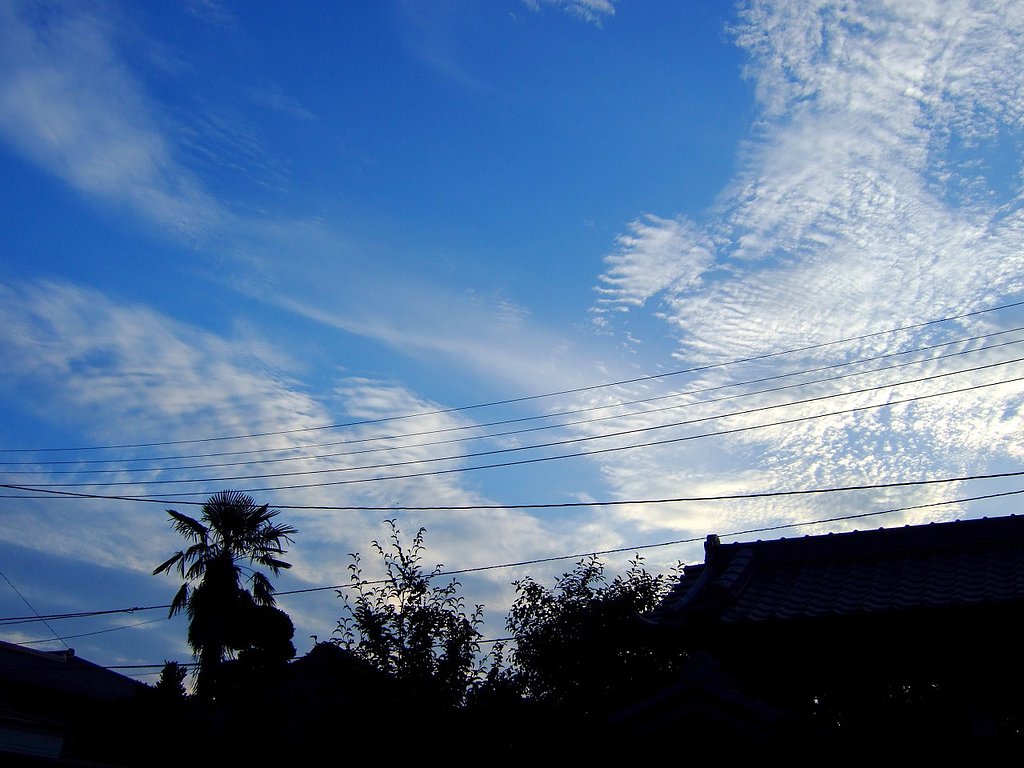青空・・・