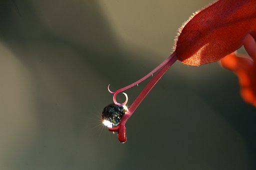 砥師