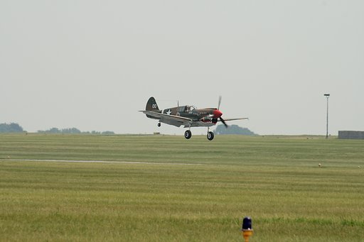 空飛ぶトラ