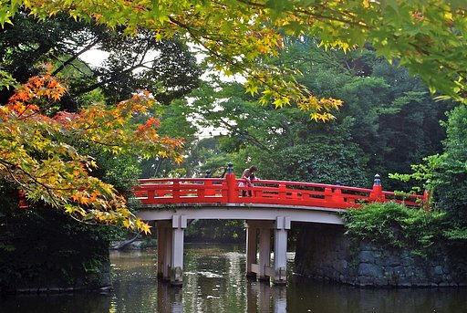 真夏のモミジと橋