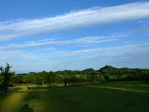 夕暮れ迫る公園