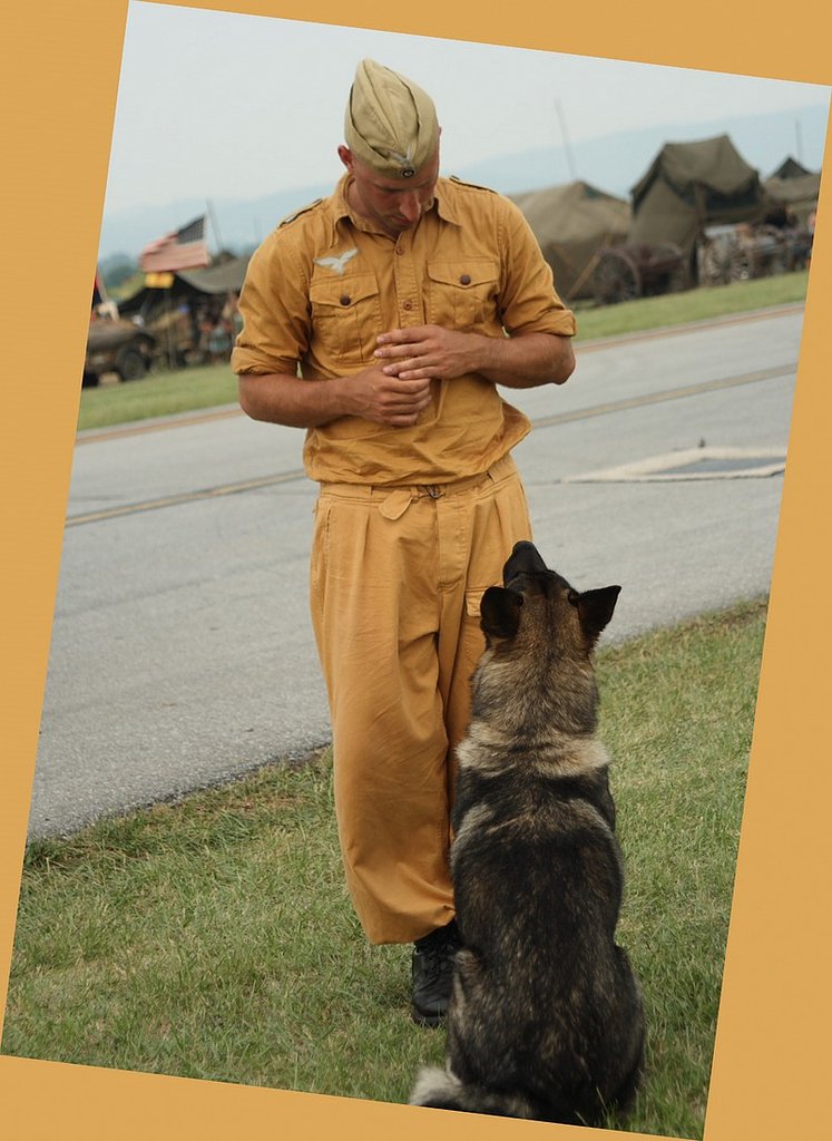 兵士と犬