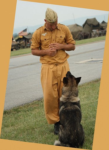 兵士と犬
