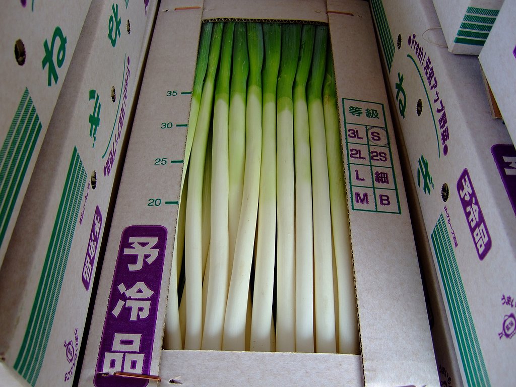 夏ネギくん・・・