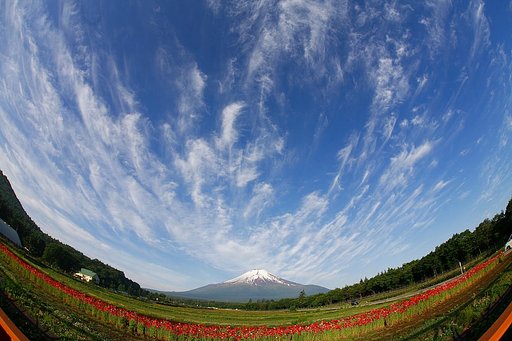 今日の富士山