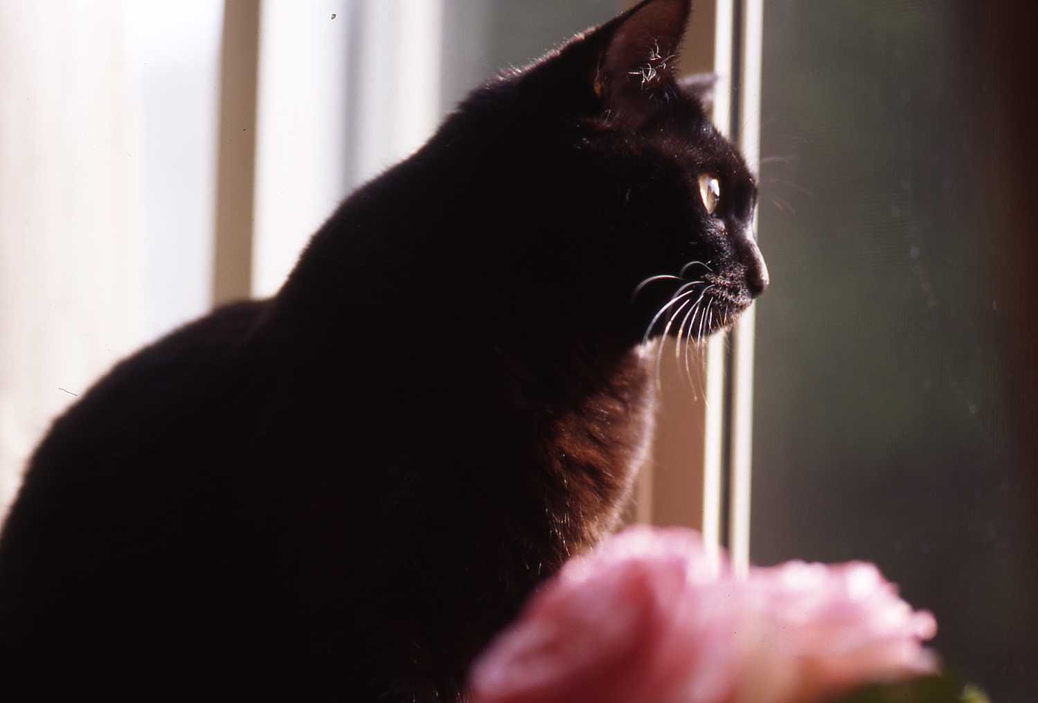 フィルム写真だよ