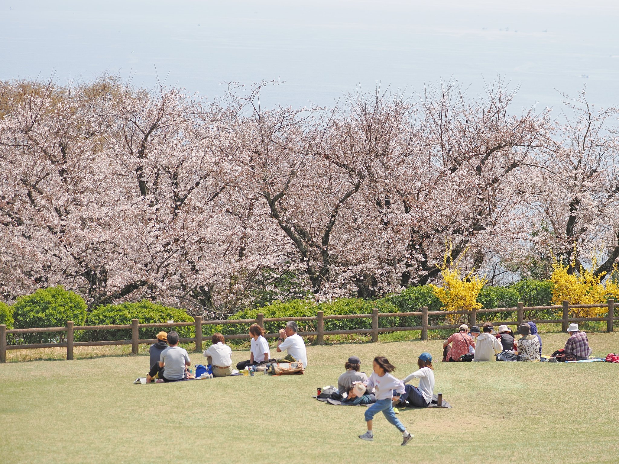 未来へ駈ける