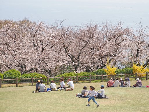 未来へ駈ける