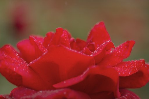 雨のオクラホマ