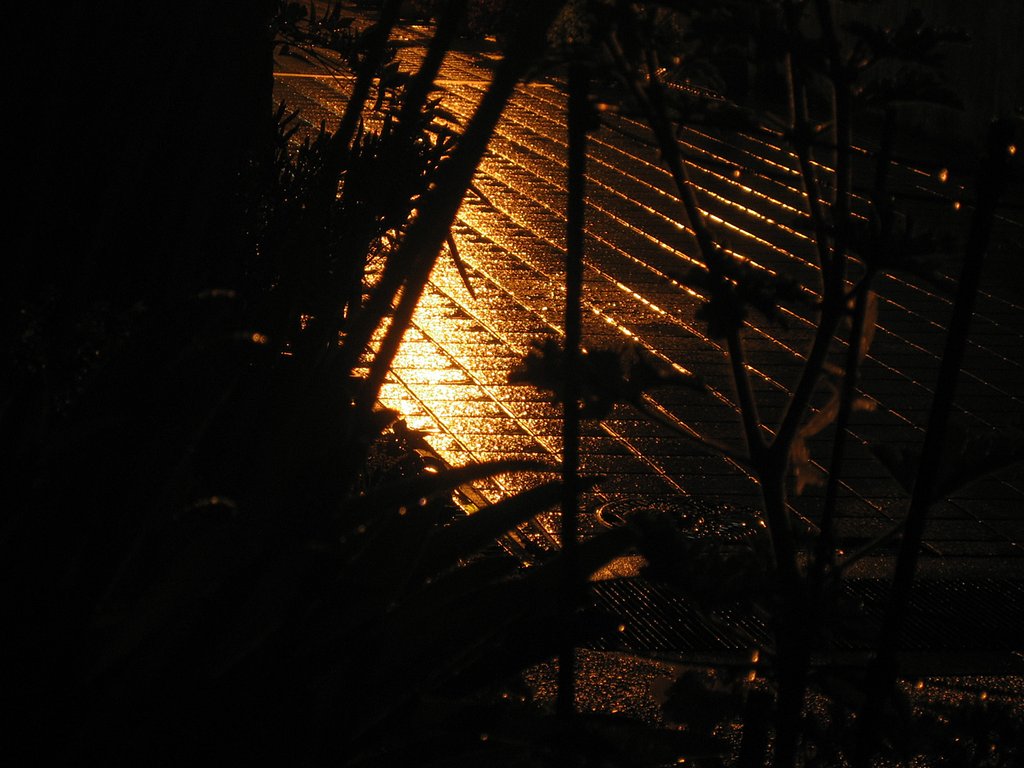 小雨降る深夜
