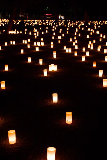 夜の春日野園地