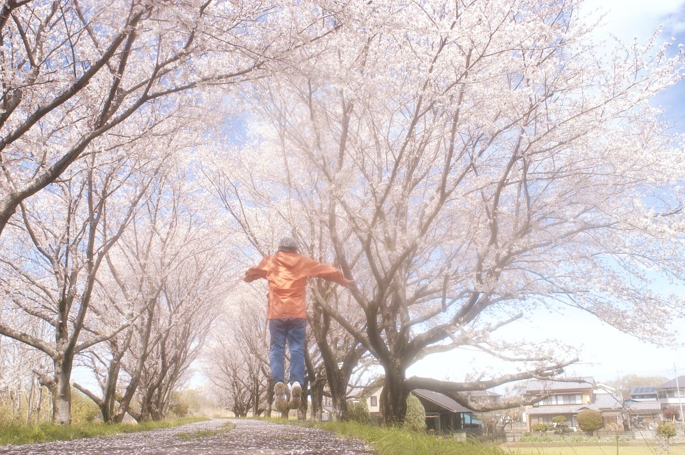 ギリぽーとれーと？ですかねー