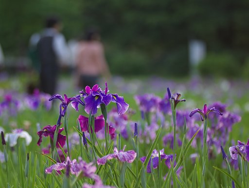 恋人たち