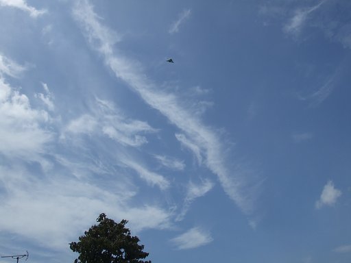 ＵＦＯ♪