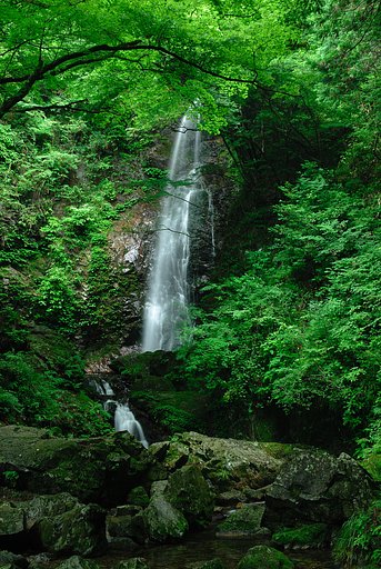 払沢の滝